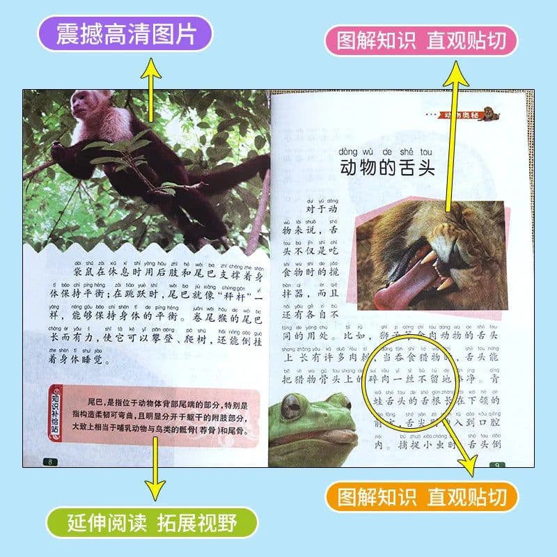 image-8 Books Children's Encyclopedia Phonetic Edition Reading Elementary School Science Extracurricular Reading Early Education Book