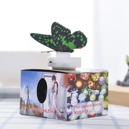 image-Butterfly Self-adhesive LED Wall Lamp Creative Home Room Decoration Night Light Indoor Atmosphere Lighting Random Color