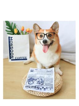 image-Pet Dog Sound Paper Newspaper Toy
