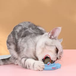 image-Pet Cat Mint Ball Toy Zihi Molar Pet Products