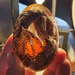 image-LED Lava Dragon Egg Ornamental Collection Decor Dinosaur Egg