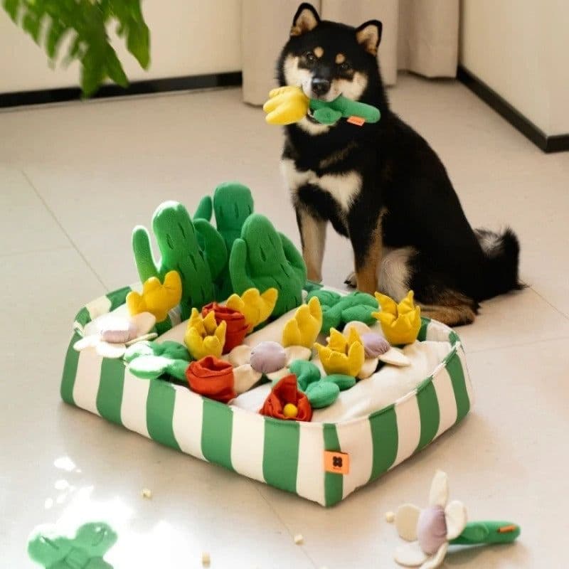 image-Pet Dog Food Leakage Educational Toys