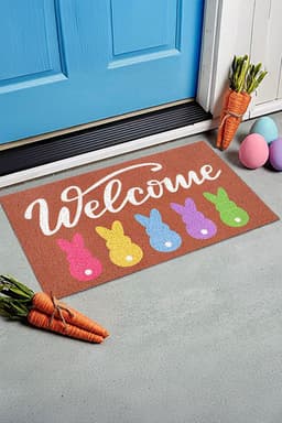 image-Chestnut Bunny Entrance Mat 40x60cm Colorful