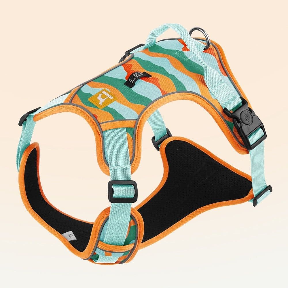 image-Dog Chest And Back Reflective Commuter Hand Holding Rope