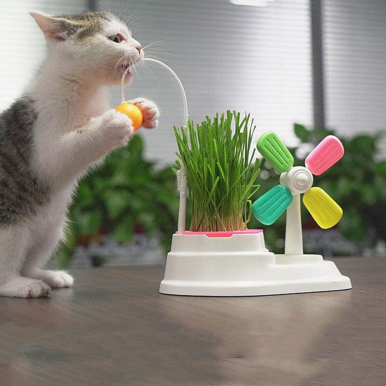 image-Windmill Funny Cat Stick Toy Desktop Grass Box Pet Toys