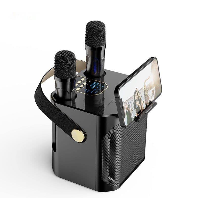 image-Dual Stereo Portable Karaoke