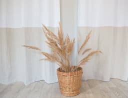 image-White and Natural Light linen curtains with tabs, two tones