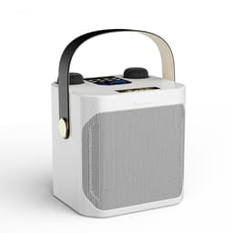 image-Dual Stereo Portable Karaoke