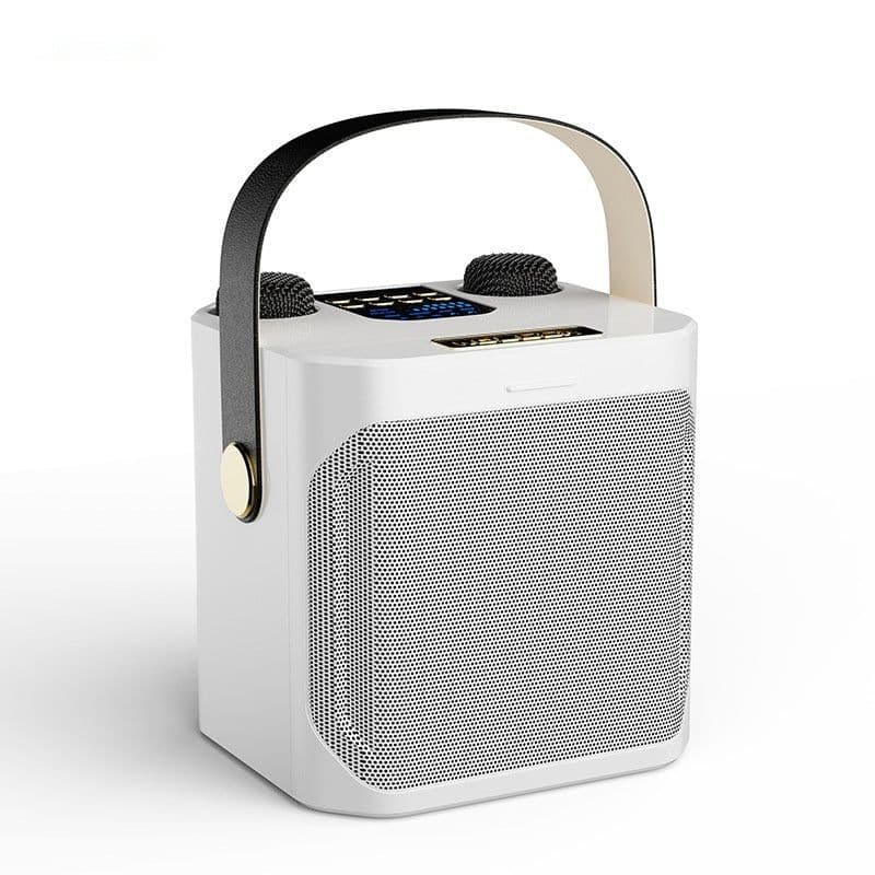 image-Dual Stereo Portable Karaoke