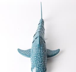 image-Shark 2.4g New Kids Summer Water Outdoor