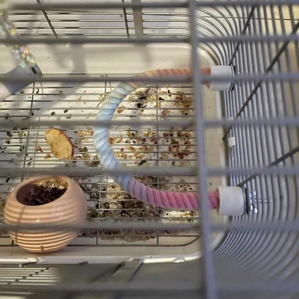 image-Gradient Colorful Bird Rope Perch Stand For Bird Cages Bendable Climbing Rope Cage Accessory Toy For Cockatiel Parakeet Sugar Glider