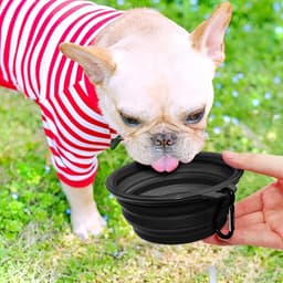 image-5" Portable and Foldable Small Dog Bowl-Black (5 Pieces)