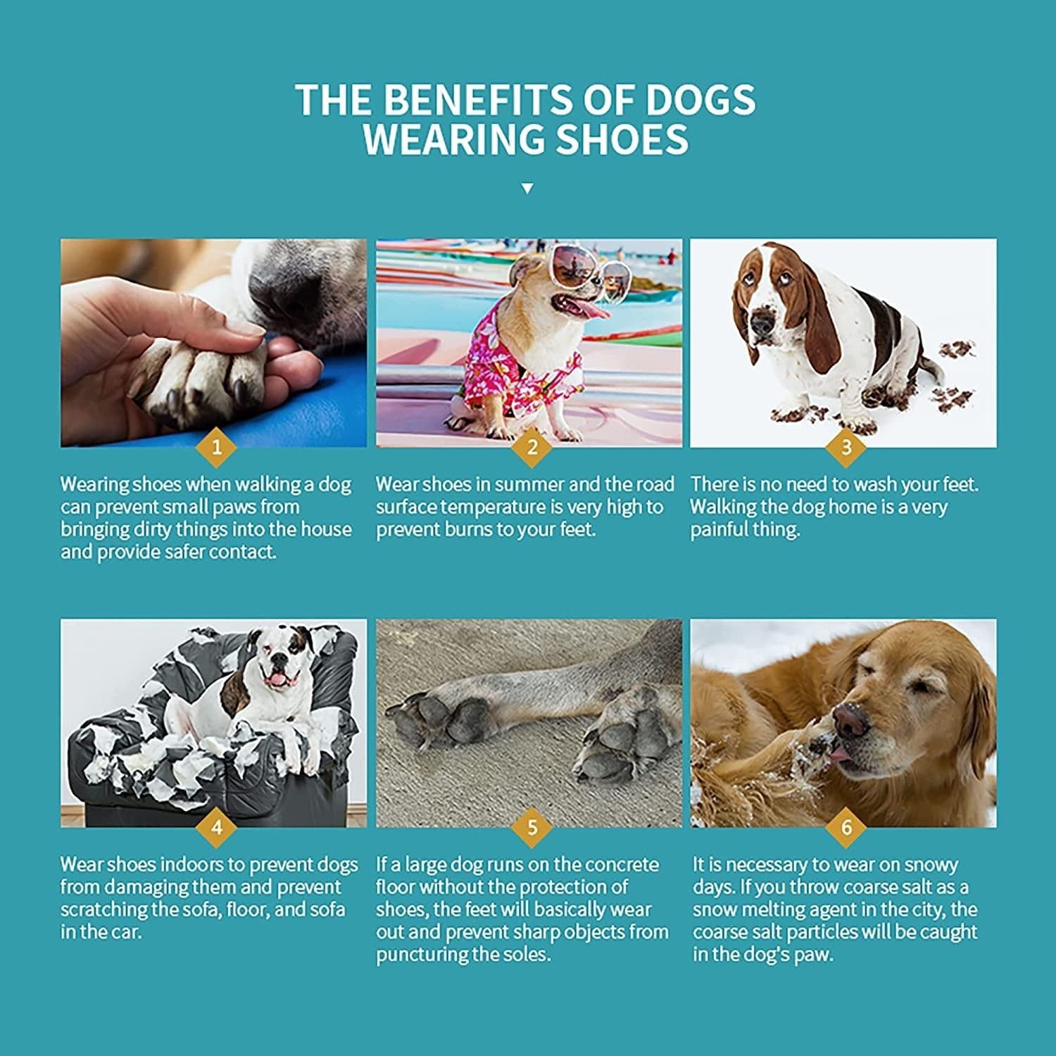 image-Breathable Dog Hiking Booties