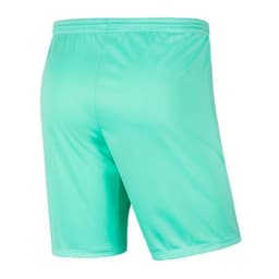 image-Shorts Nike Park III Knit Jr BV6865-354