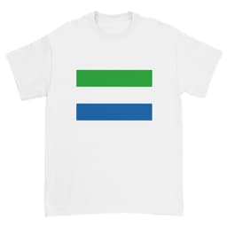 image-T-shirt unisexe ras du cou en coton ultra | Gildan 2000