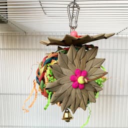 image-New Parrot Palm Brushed Educational Toys