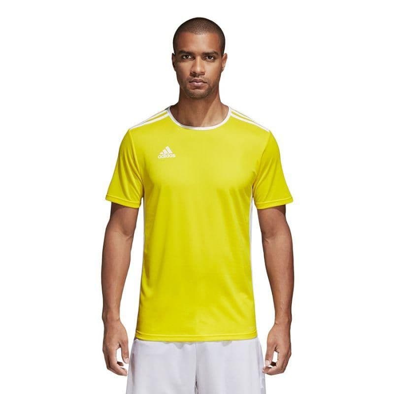 image-Adidas Entrada 18 CD8390 football jersey