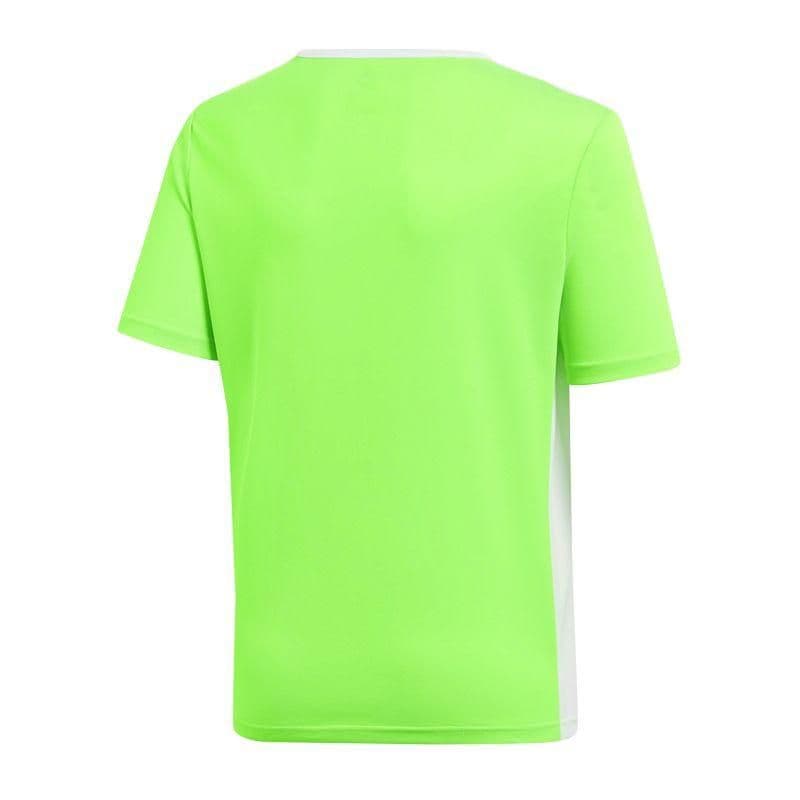 image-T-shirt adidas Entrada 18 Jr CE9755