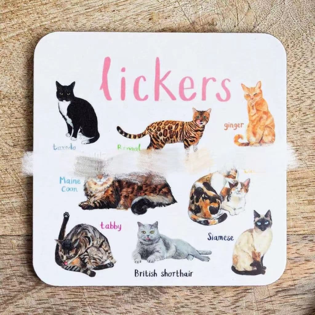 image-Bird Pun Coasters Fun Square Drink Coaster For Children Wooden And PVC Cup Mats Home Kitchen Decor