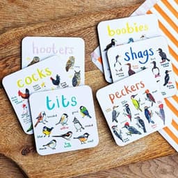 image-Bird Pun Coasters Fun Square Drink Coaster For Children Wooden And PVC Cup Mats Home Kitchen Decor