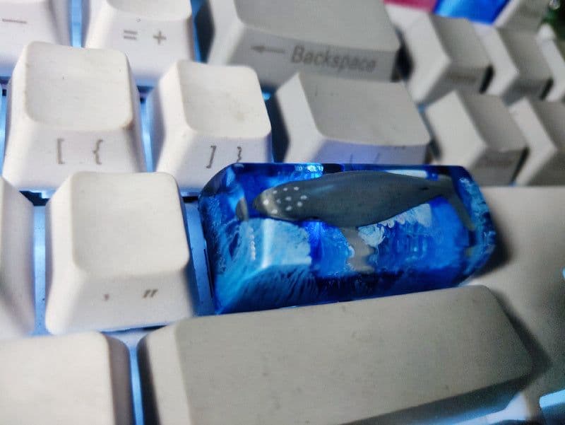 image-Scenery Koi Backspace Resin Keycaps For Cherry Mx Switch