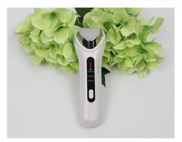 image-Electric Ultrasonic Facial Beauty Device