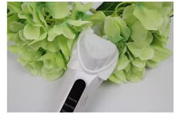 image-Electric Ultrasonic Facial Beauty Device