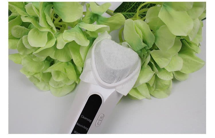 image-Electric Ultrasonic Facial Beauty Device