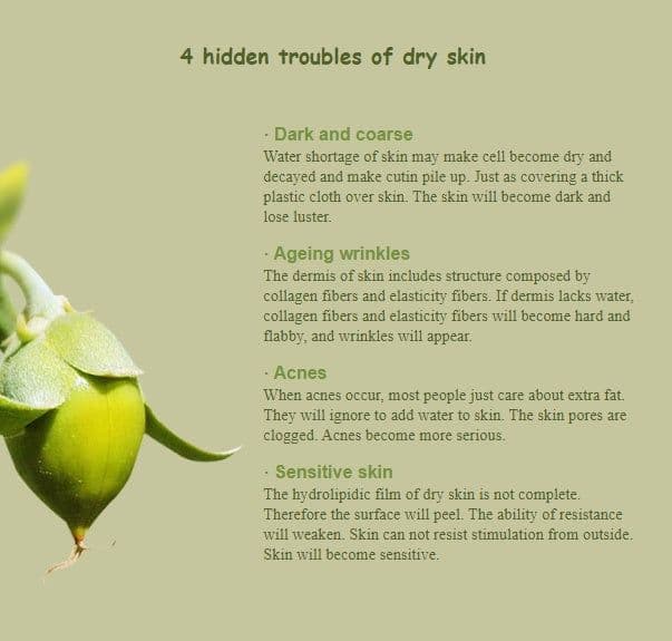 image-Jojoba base oil