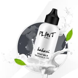 image-Lazy Face Cream