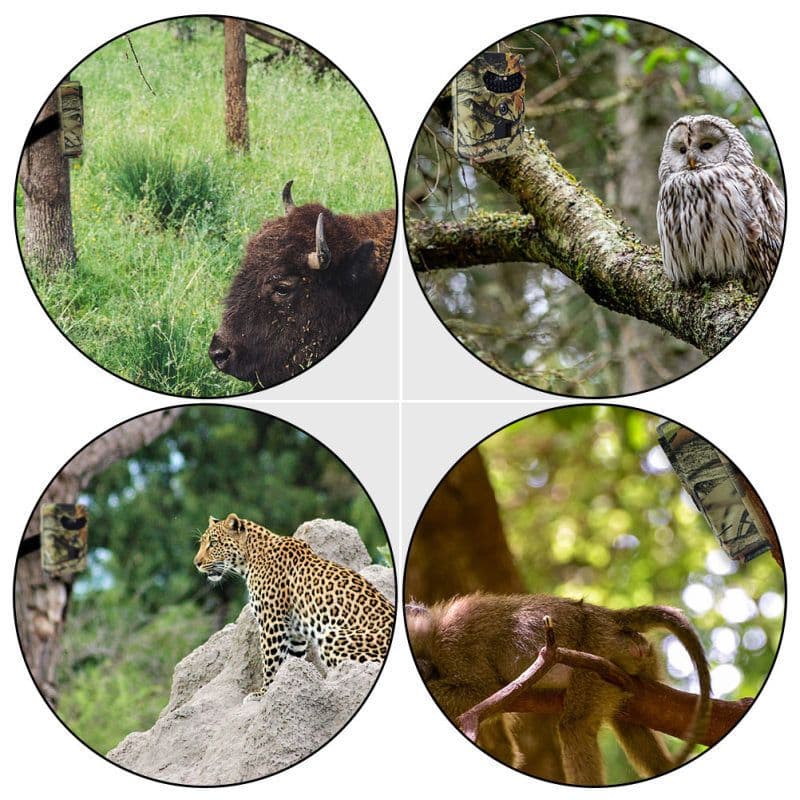 image-16MP Hunting Game Camera Infrared Night Vision Camera Scouting Cam No Battery