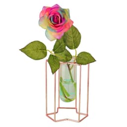 image-Light Luxury Ornaments Hydroponic Glass Vase