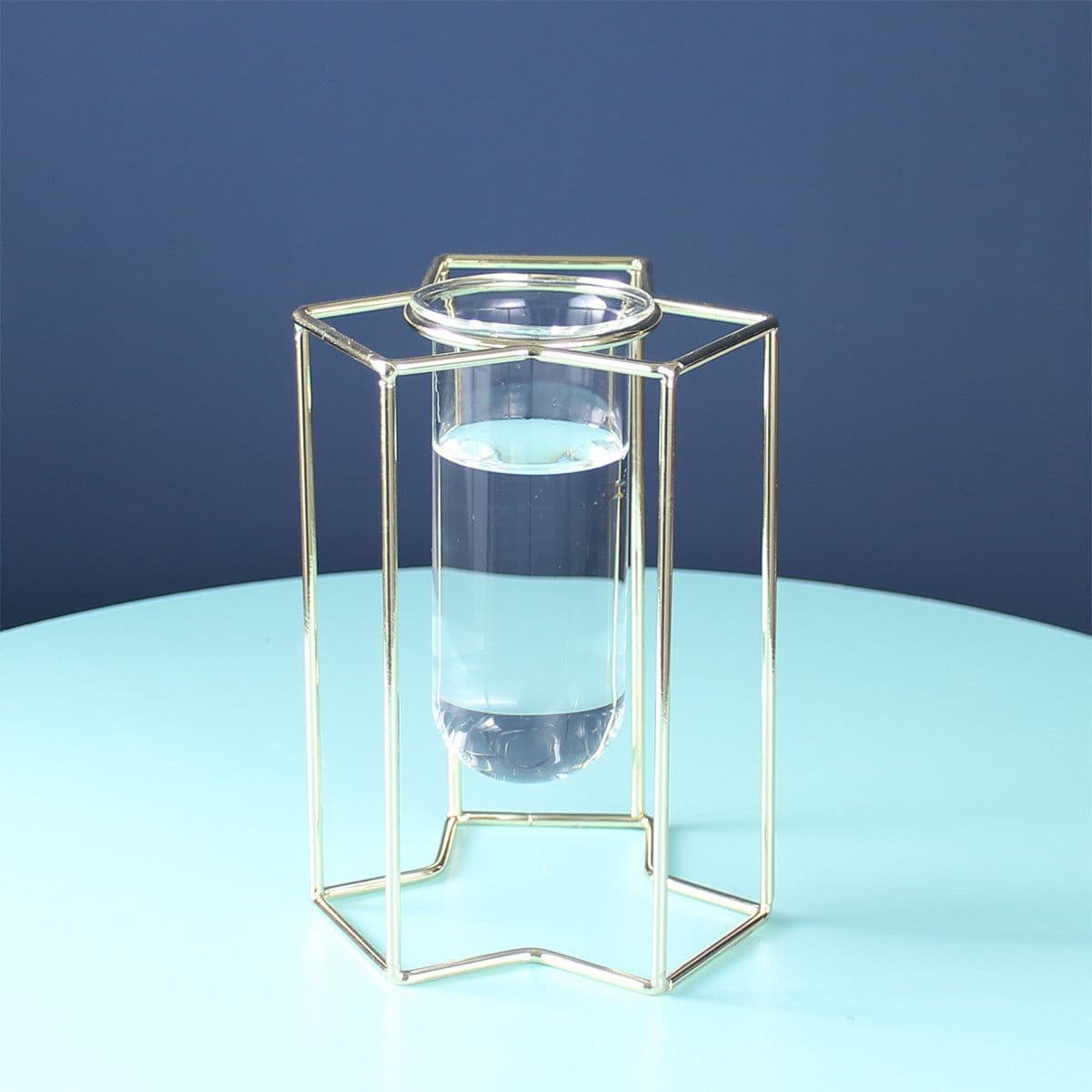 image-Light Luxury Ornaments Hydroponic Glass Vase