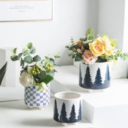 image-Succulents Potted Plants Pots Green Plants Simple Flowers