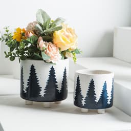image-Succulents Potted Plants Pots Green Plants Simple Flowers