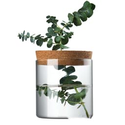 image-Creative Green Plant Decorative Glass Hydroponic Vase