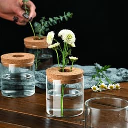 image-Creative Green Plant Decorative Glass Hydroponic Vase