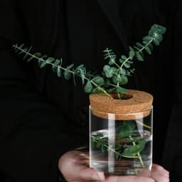 image-Creative Green Plant Decorative Glass Hydroponic Vase