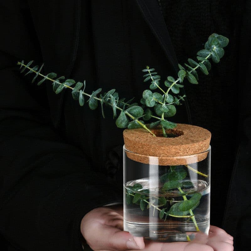 image-Creative Green Plant Decorative Glass Hydroponic Vase