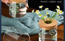 image-Creative Green Plant Decorative Glass Hydroponic Vase