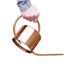 image-Gardening Retro European Style Meaty Stainless Steel Long Spout Watering Jug