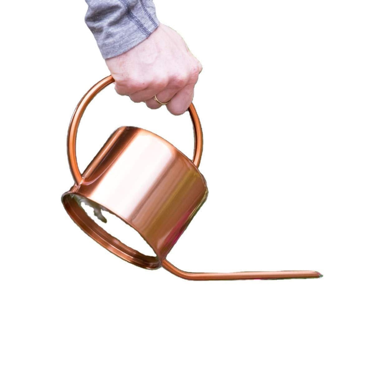 image-Gardening Retro European Style Meaty Stainless Steel Long Spout Watering Jug