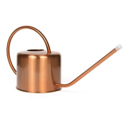 image-Gardening Retro European Style Meaty Stainless Steel Long Spout Watering Jug