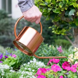 image-Gardening Retro European Style Meaty Stainless Steel Long Spout Watering Jug
