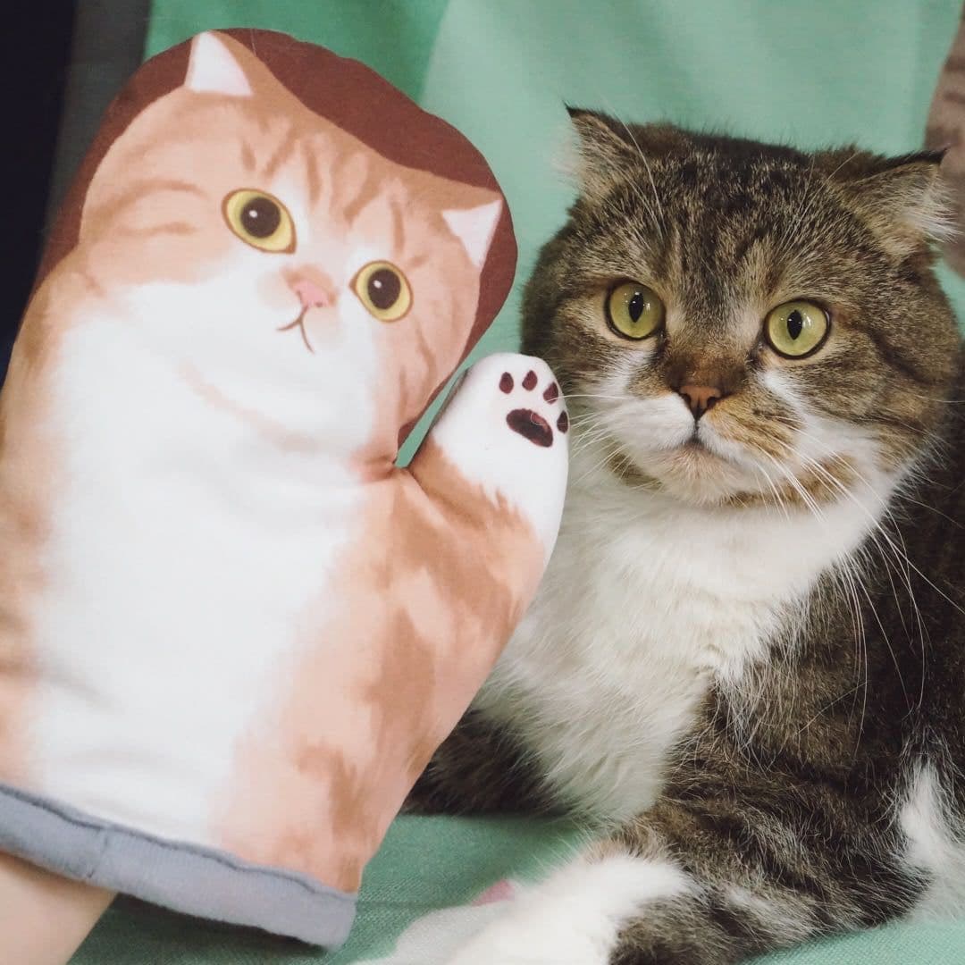 image-Cute Cute Cat Claw Microwave Oven Insulated Gloves Kitchen Baking Oven