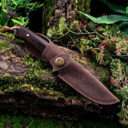 image-Straight Knife Outdoor Survival Knife Wilderness Survival Knife Self-defense Pocket Knife High Hardness