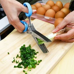 image-Kitchen Crushing Chopped Green Onion Multi-functional Stainless Steel Five-layer Crushing Scissors