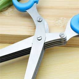image-Kitchen Crushing Chopped Green Onion Multi-functional Stainless Steel Five-layer Crushing Scissors