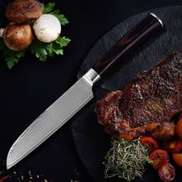 image-Damascus Fruit Knife Multipurpose Knife Japanese Santoku Knife Gift Knife