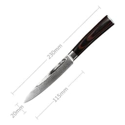 image-Damascus Fruit Knife Multipurpose Knife Japanese Santoku Knife Gift Knife